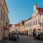Panevėžio Medelynai: Žalioji Jūsų Svajonių Oazė ir Augalų Įvairovės Šaltinis
