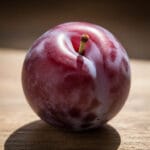 Kaukazinė Slyva (Prunus cerasifera): Universalus Sodo Perlas Nuo Žiedų Iki Vaisių