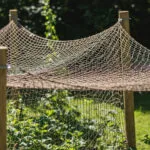 Tinklas nuo paukščių: Nepakeičiama apsauga jūsų derliui ir aplinkai