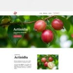 Aktinidijų Nauda: Nuo Vitamino C Bombos iki Sodo Puošmenos ir Gardžiausių Receptų