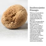 Kodėl Jūsų Šilauogių Lapai Raudonuoja: Išsamus Gidas Su Priežastimis ir Sprendimais