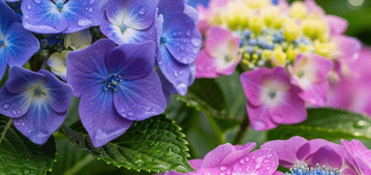 Hortenzijos Internetu: Išsamus Gidas, Kaip Išsirinkti ir Sėkmingai Auginti Svajonių Krūmą