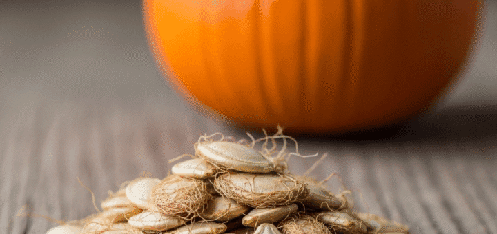 Moliūgų sėklos: mažas stebuklas, kurio negalima išmesti