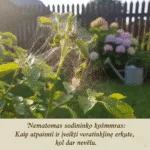 Nematomas sodininko košmaras: Kaip atpažinti ir įveikti voratinklinę erkutę, kol dar nevėlu?