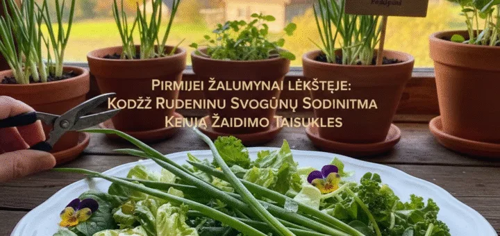 Pirmieji Žalumynai Lėkštėje: Kodėl Rudeninis Svogūnų Sodinimas Keičia Žaidimo Taisykles