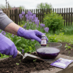 Violetinis sodo gelbėtojas: Kada kalio permanganatas yra nepakeičiamas, o kada – pavojingas?