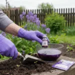 Violetinis sodo gelbėtojas: Kada kalio permanganatas yra nepakeičiamas, o kada – pavojingas?