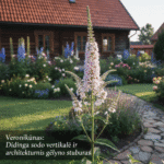 Veronikūnas: Didinga sodo vertikalė ir architektūrinis gėlyno stuburas