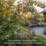 Sodo aristokratė Lamarko medlieva: kaip užauginti estetiką ir derlių viename augale