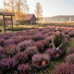 Spalvų Terapija Prieš Žiemą: Kodėl Profesionalus Viržių Augintojas Yra Geriausias Jūsų Sodo Draugas