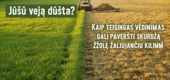 Jūsų veja dūsta? Kaip teisingas vėdinimas gali paversti skurdžią žolę žaliuojančiu kilimu
