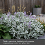 Sidabrinė elegancija: Kodėl vilnotoji notra yra nepakeičiama modernaus gėlyno dalis