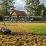 Vejos „plaučiai“: Kodėl jūsų kiemui dūsta ir kaip giluminis vėdinimas gali išgelbėti net beviltišką žolę