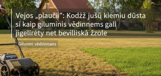 Vejos „plaučiai“: Kodėl jūsų kiemui dūsta ir kaip giluminis vėdinimas gali išgelbėti net beviltišką žolę