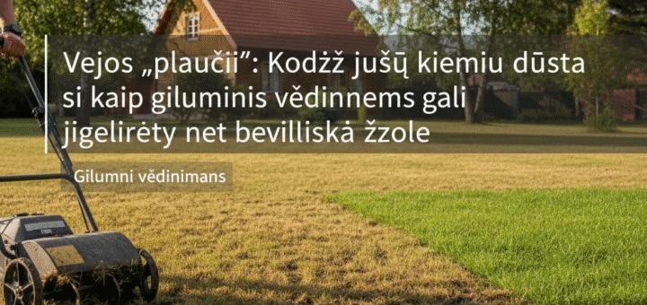Vejos „plaučiai“: Kodėl jūsų kiemui dūsta ir kaip giluminis vėdinimas gali išgelbėti net beviltišką žolę