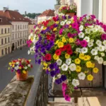 Ledinukai gėlės: Nepakeičiamas spalvų šaltinis balkonams, gėlynams ir kapavietėms