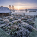 Daugiamečių gėlių gėlynas: ilgaamžis grožis be kasmetinio vargo