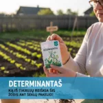 Determinantas: Ką Iš Tikrųjų Reiškia Šis Žodis Ant Sėklų Pakelio?