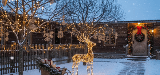 Kiemo magija žiemą: kaip parinkti kalėdines dekoracijas lauke