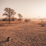 Sausra: Tylioji Gamtos Stichija ir Kaip Jai Pasiruošti Lietuvoje