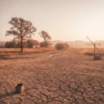 Sausra: Tylioji Gamtos Stichija ir Kaip Jai Pasiruošti Lietuvoje