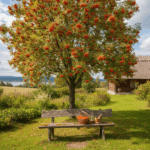 Šermukšnis: nepelnitai pamirštas sodo aristokratas ir sveikatos šaltinis