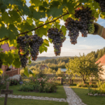 Saldžios vynuogės jūsų sode: auginimo paslaptys ir geriausios veislės