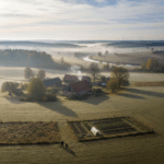 Orai Vėžaičiuose: Kaip Vakarų Lietuvos mikroklimatas diktuoja gyvenimo ir ūkio ritmą