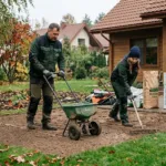 Smaragdinė veja kieme: kodėl profesionalai sėją planuoja būtent rudenį?