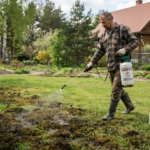 Vejos samanų naikinimas geležies sulfatu