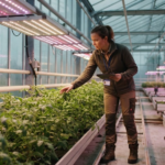 LED apšvietimas šiltnamiui: Kaip išsirinkti ir padidinti derlių